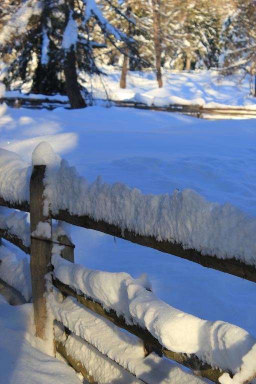 Berggasthof Pension Pfitscher Unsere Liebe Frau im Walde Dış mekan fotoğraf
