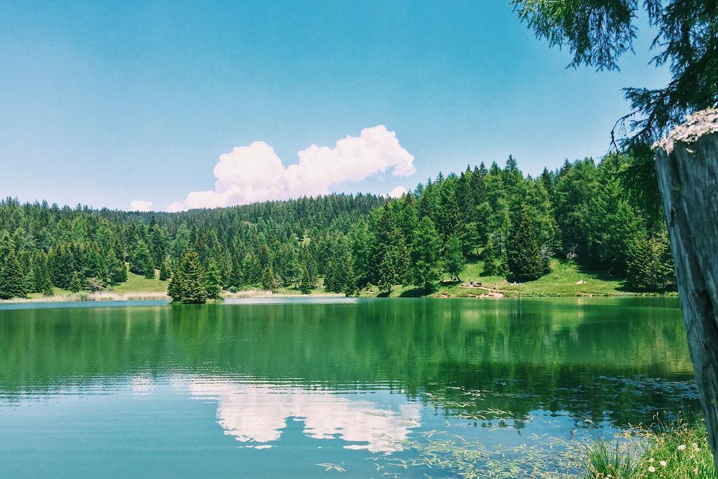 Berggasthof Pension Pfitscher Unsere Liebe Frau im Walde Dış mekan fotoğraf
