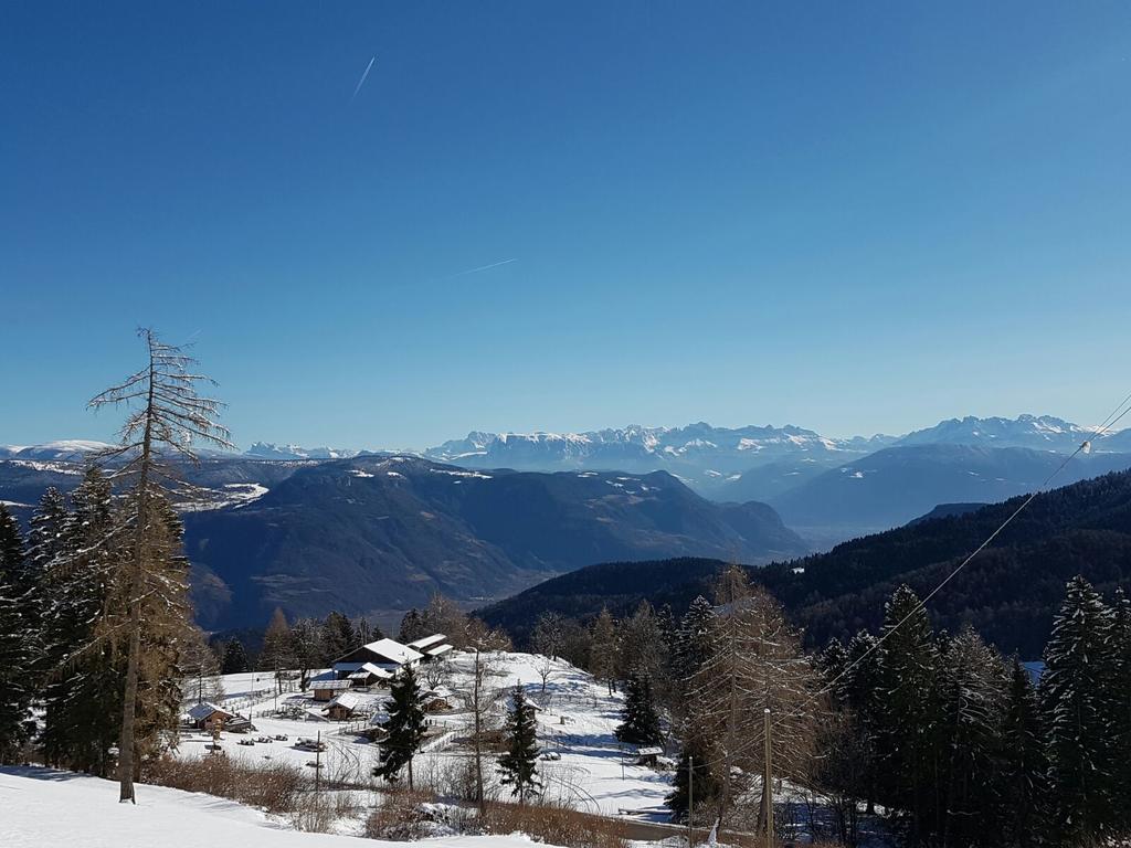 Berggasthof Pension Pfitscher Unsere Liebe Frau im Walde Dış mekan fotoğraf